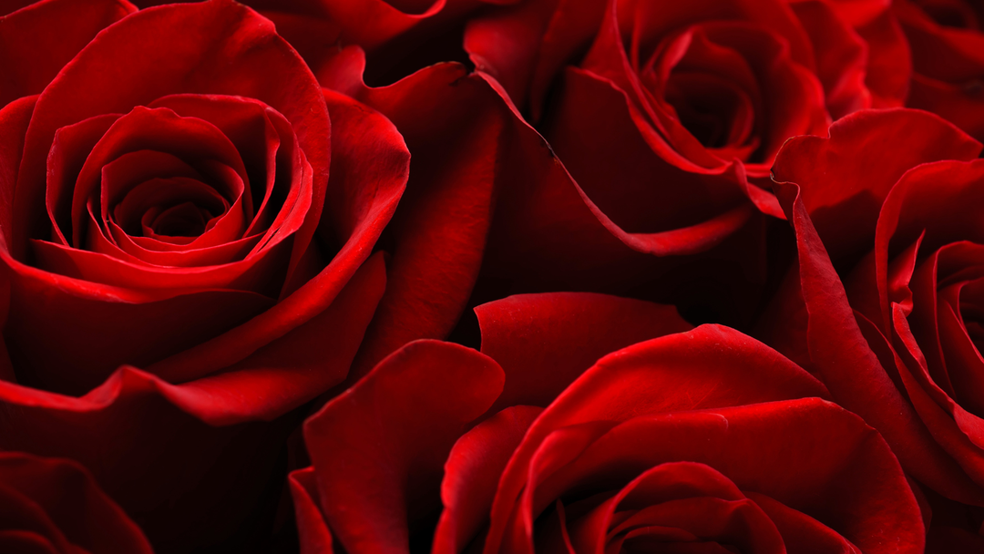 Valentine’s Day jewelry gift package with dinner, roses, and chocolate