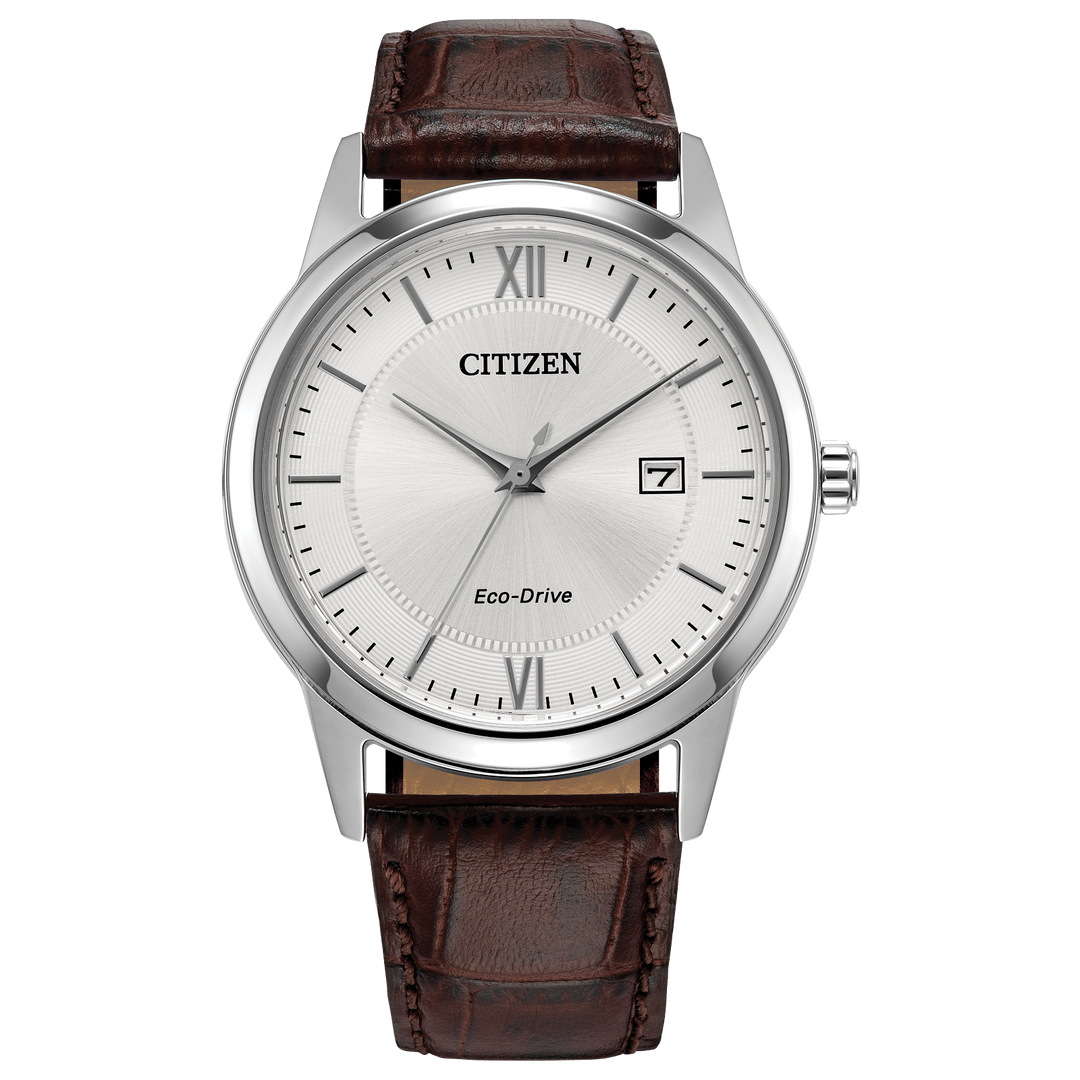Citizen Watch: Classic