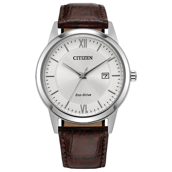 Citizen Watch: Classic