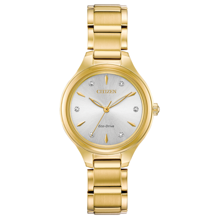 Citizen Watch: Corso