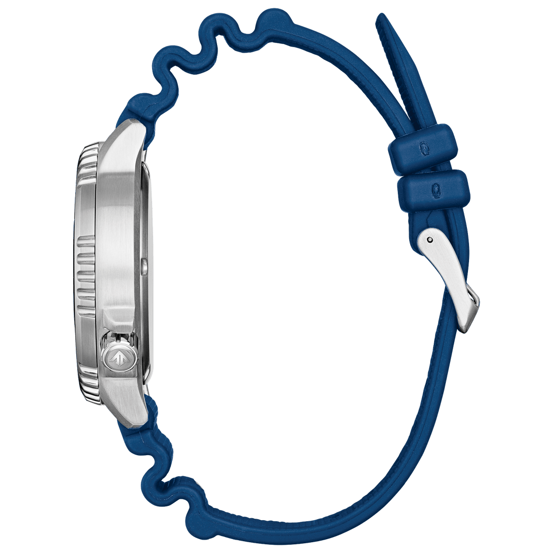 Citizen Watch:Promaster Dive