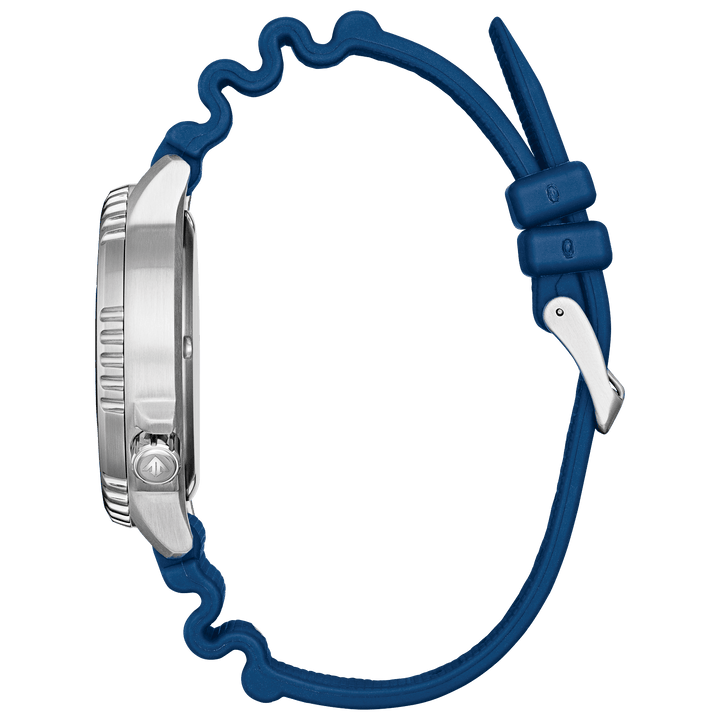 Citizen Watch:Promaster Dive