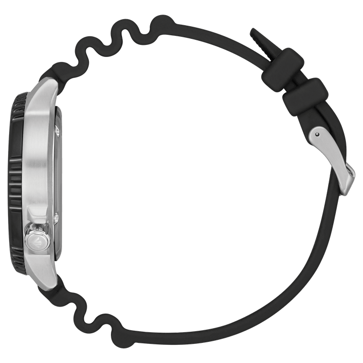 Watch: Promaster Dive