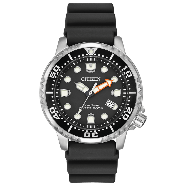 Watch: Promaster Dive