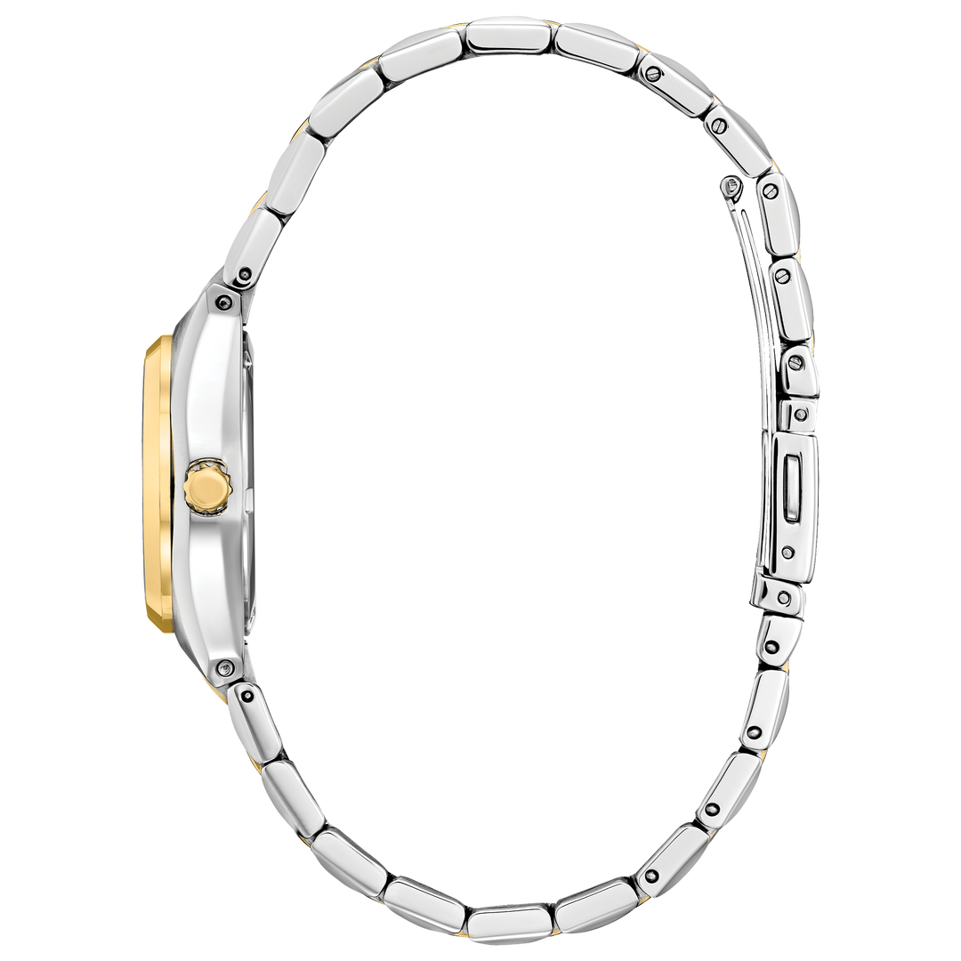 Citizen Watch: Corso