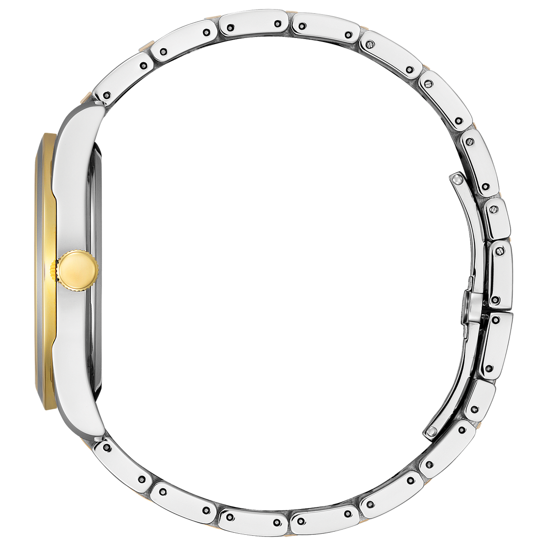 Citizen Watch: Arezzo