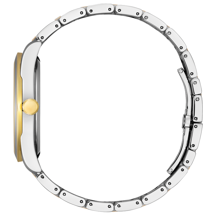 Citizen Watch: Arezzo