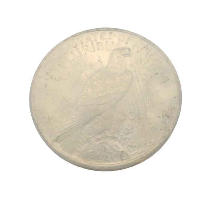 Liberty Silver Dollar