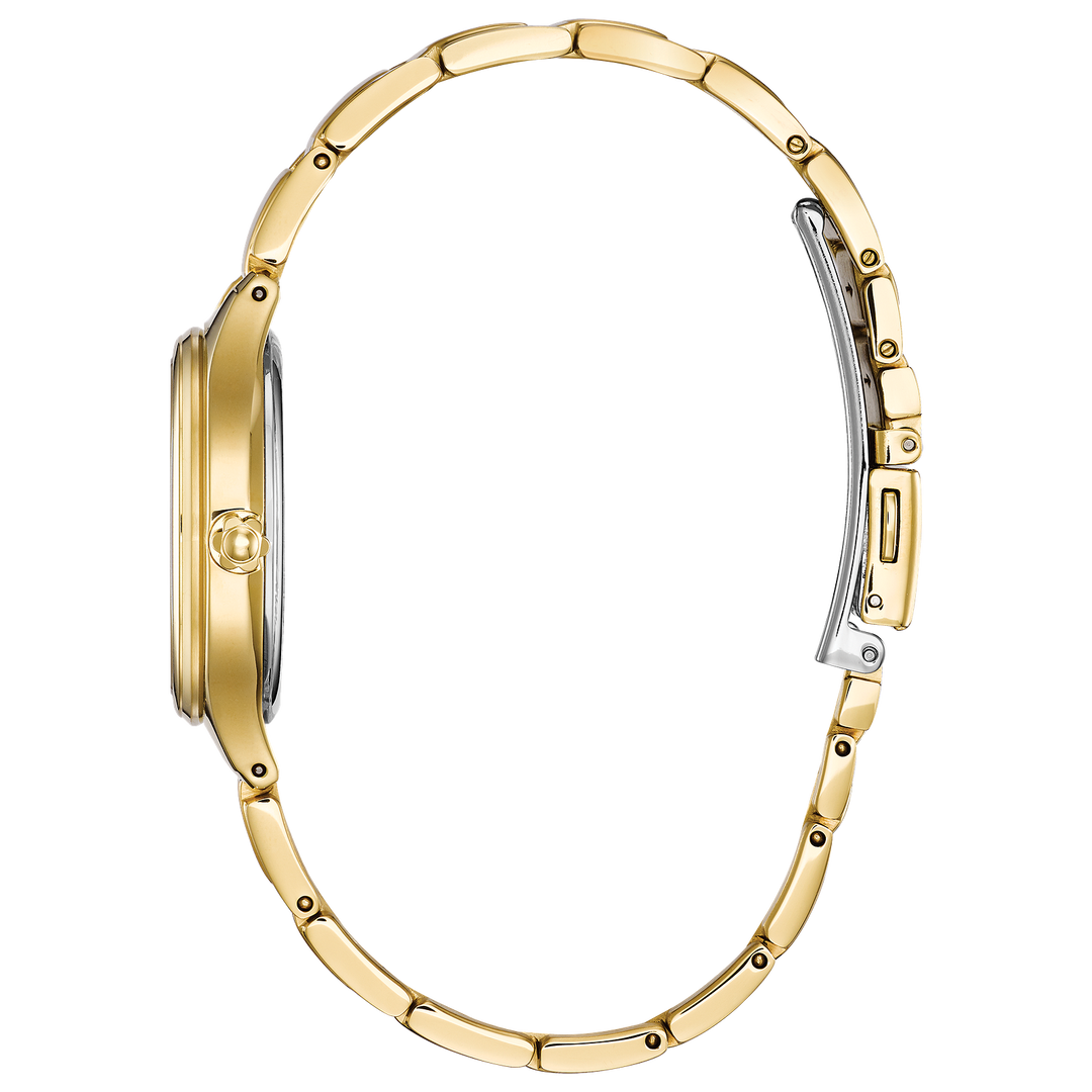 Citizen Watch: Corso