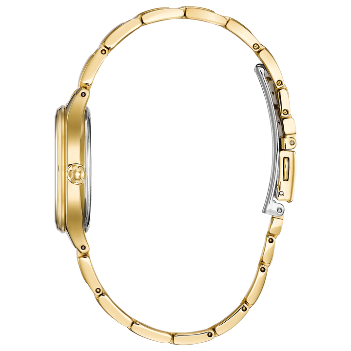 Citizen Watch: Corso