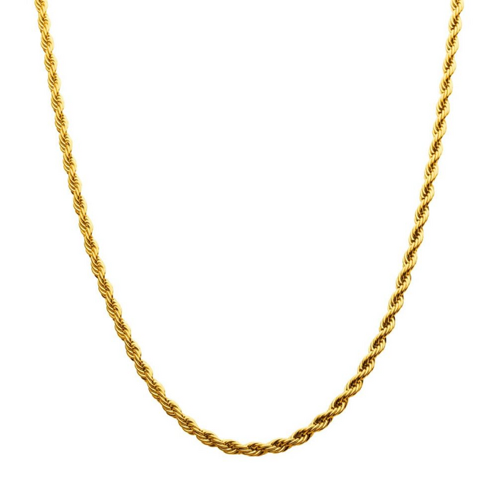 4mm 18K Gold Ion-Plated Rope Chain Necklace (20 Inch)
